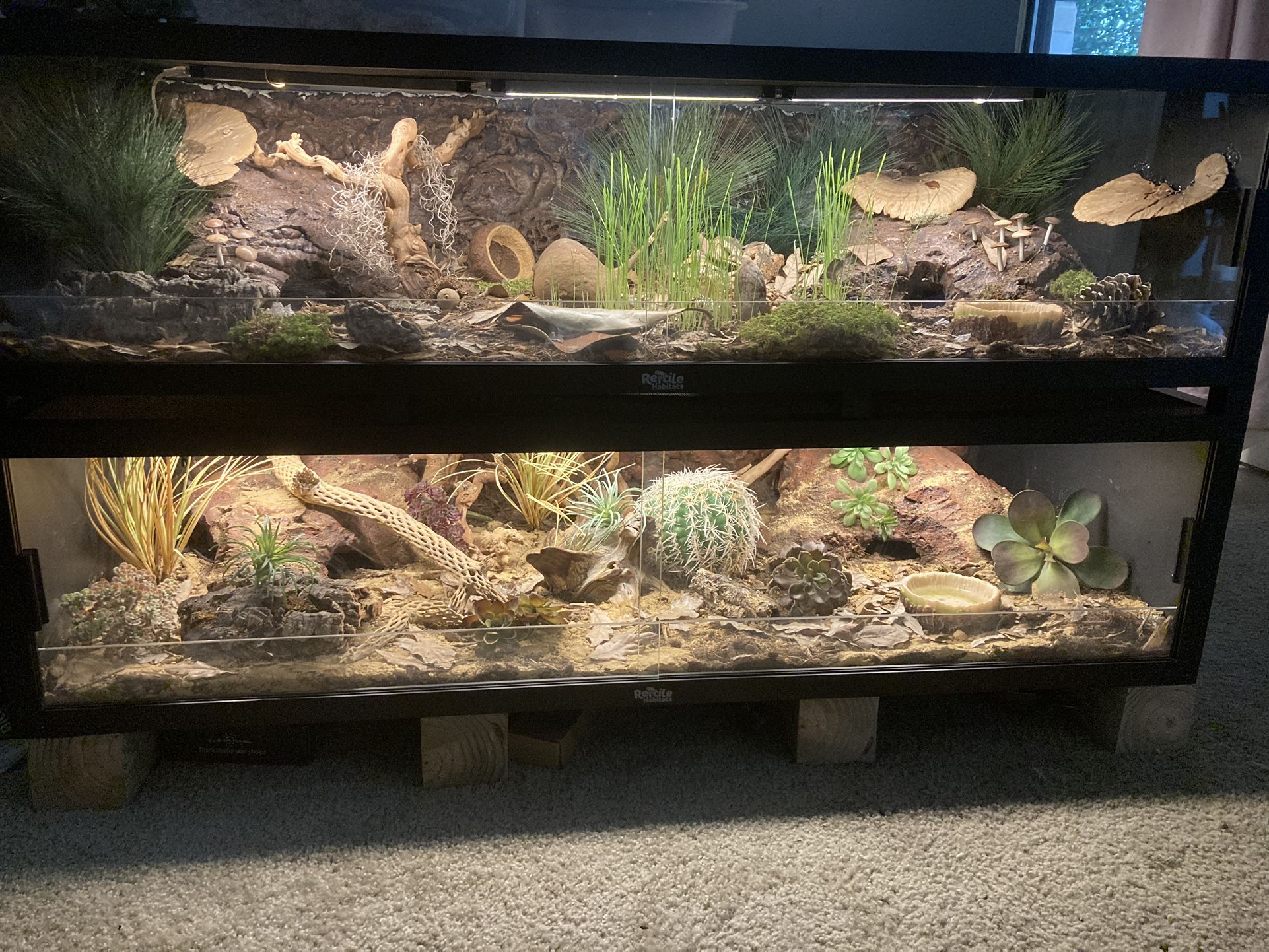 Reptile/snake Enclosure