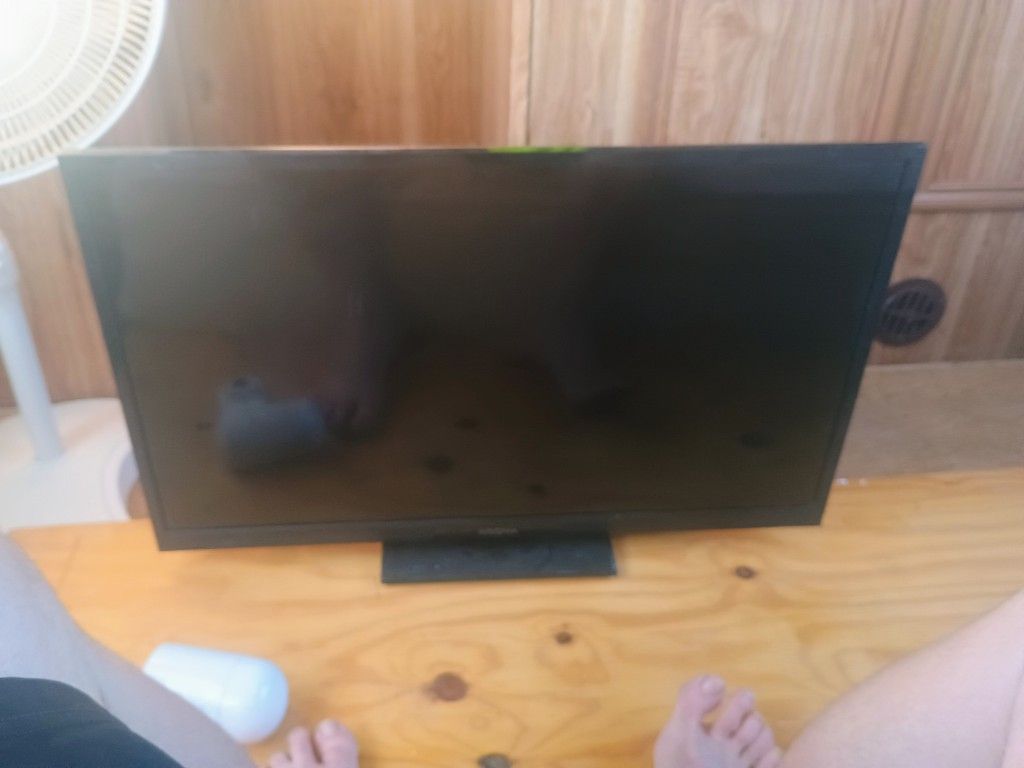 19" Insignia Tv