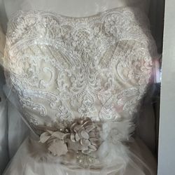Plus Size Champagne/ Ivory Wedding Dress w/ Removable Sash