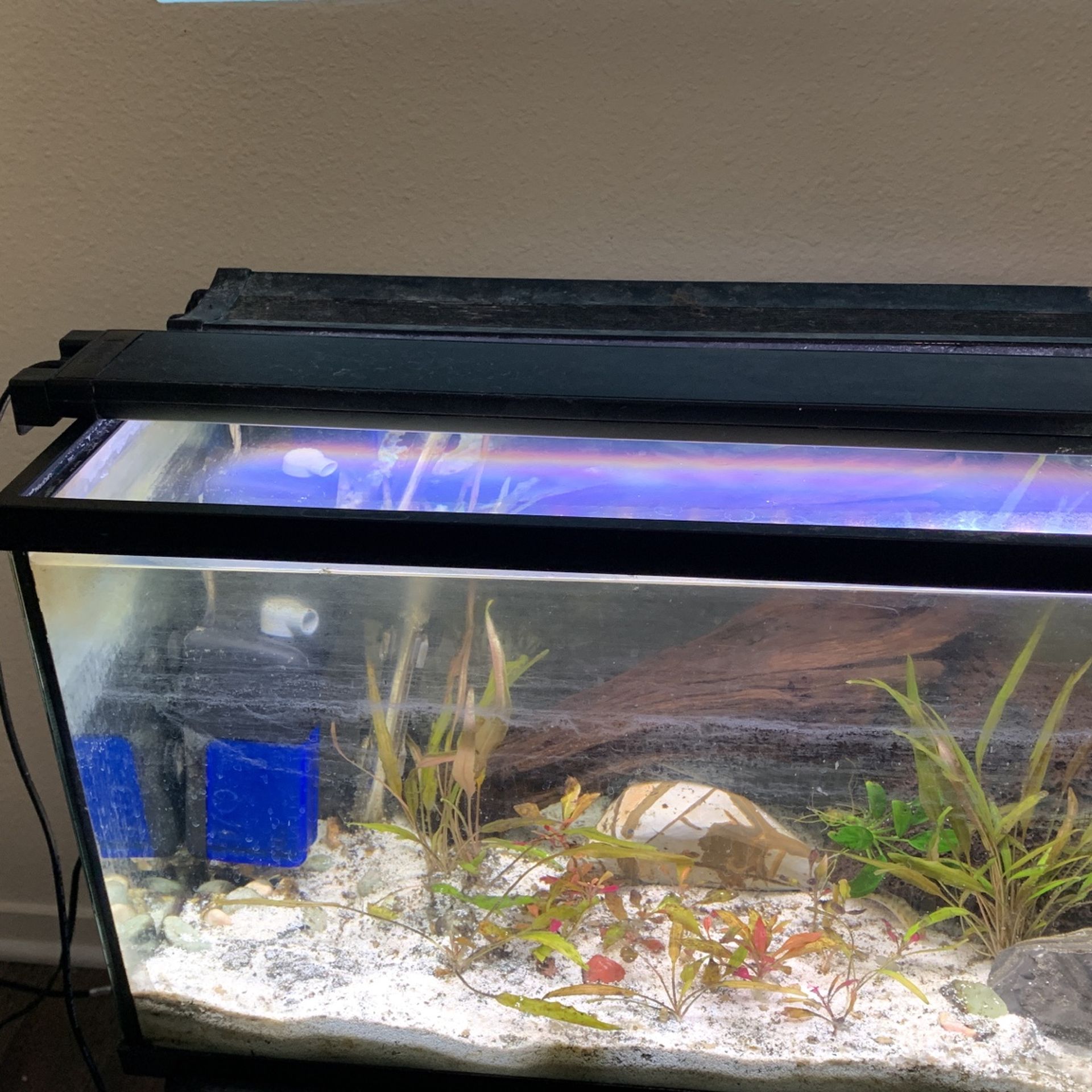 Aquarium Light