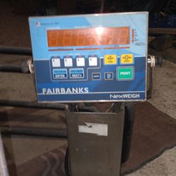 Fairbanks Nexweigh Scales And Weight Platform 