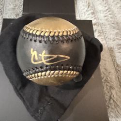 Fanatics Under Wraps Signed Baseball Detroit Tigers Riley Greene MLB