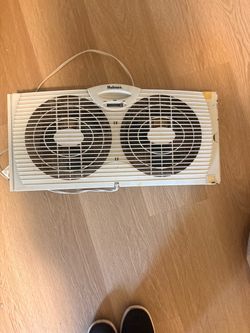 Fans