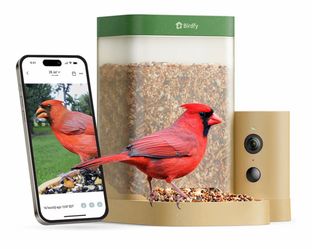 Smart Bird Feeder with Camera for Rookie, Camera Bird Feeder Dual Night Vision, AI Recognition IP66 Waterproof for BirdLovers, 1.3L Capacity