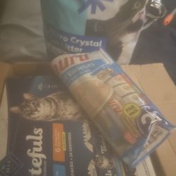 Chewy Cat Products 