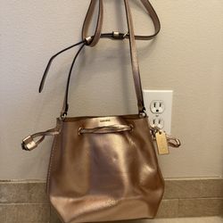 Rose Gold Small Coach Bag