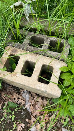 Cinder Blocks And Other Bricks