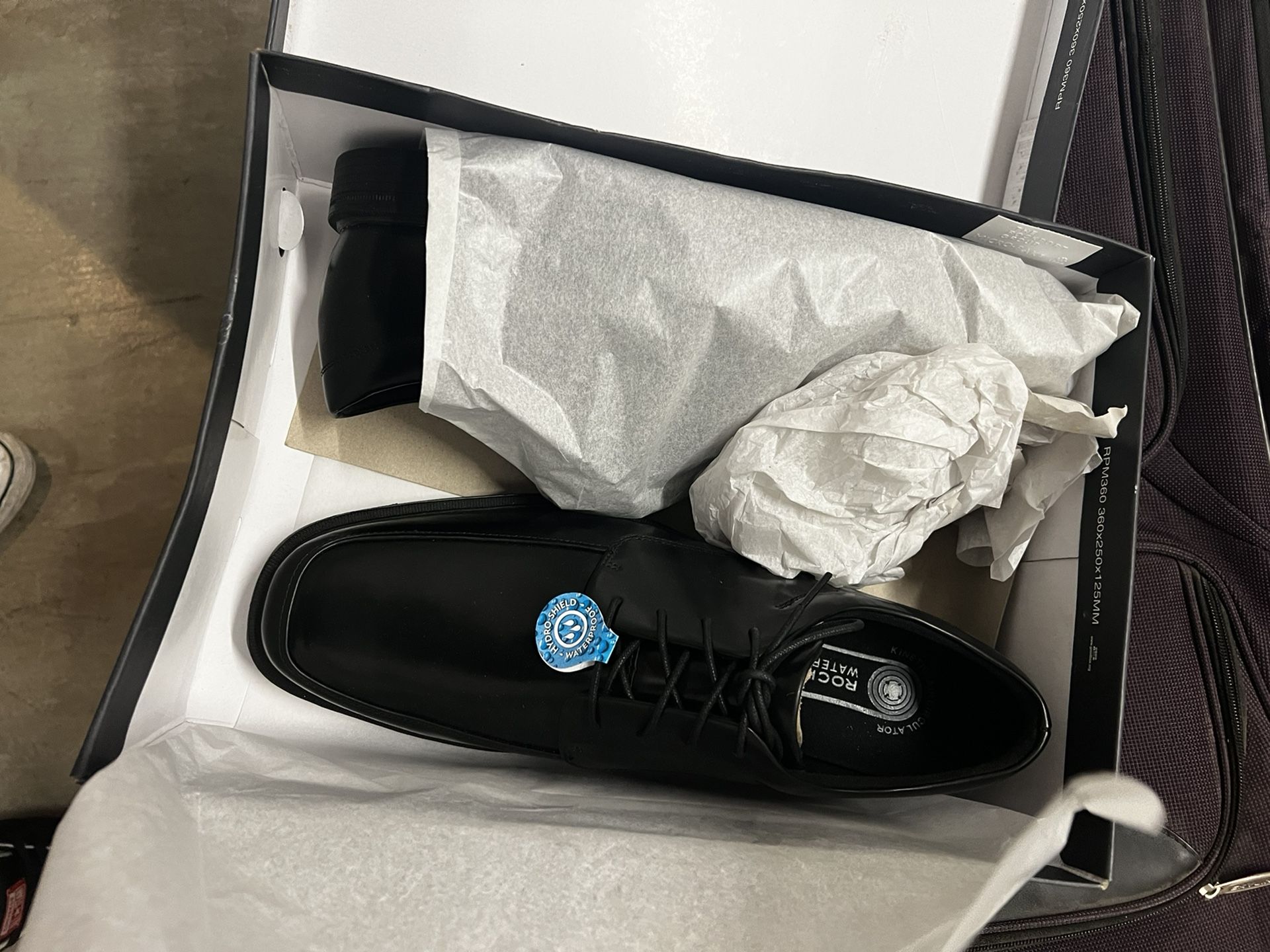 Rockport Evander K71057