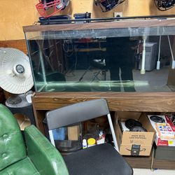 Fish aquarium 