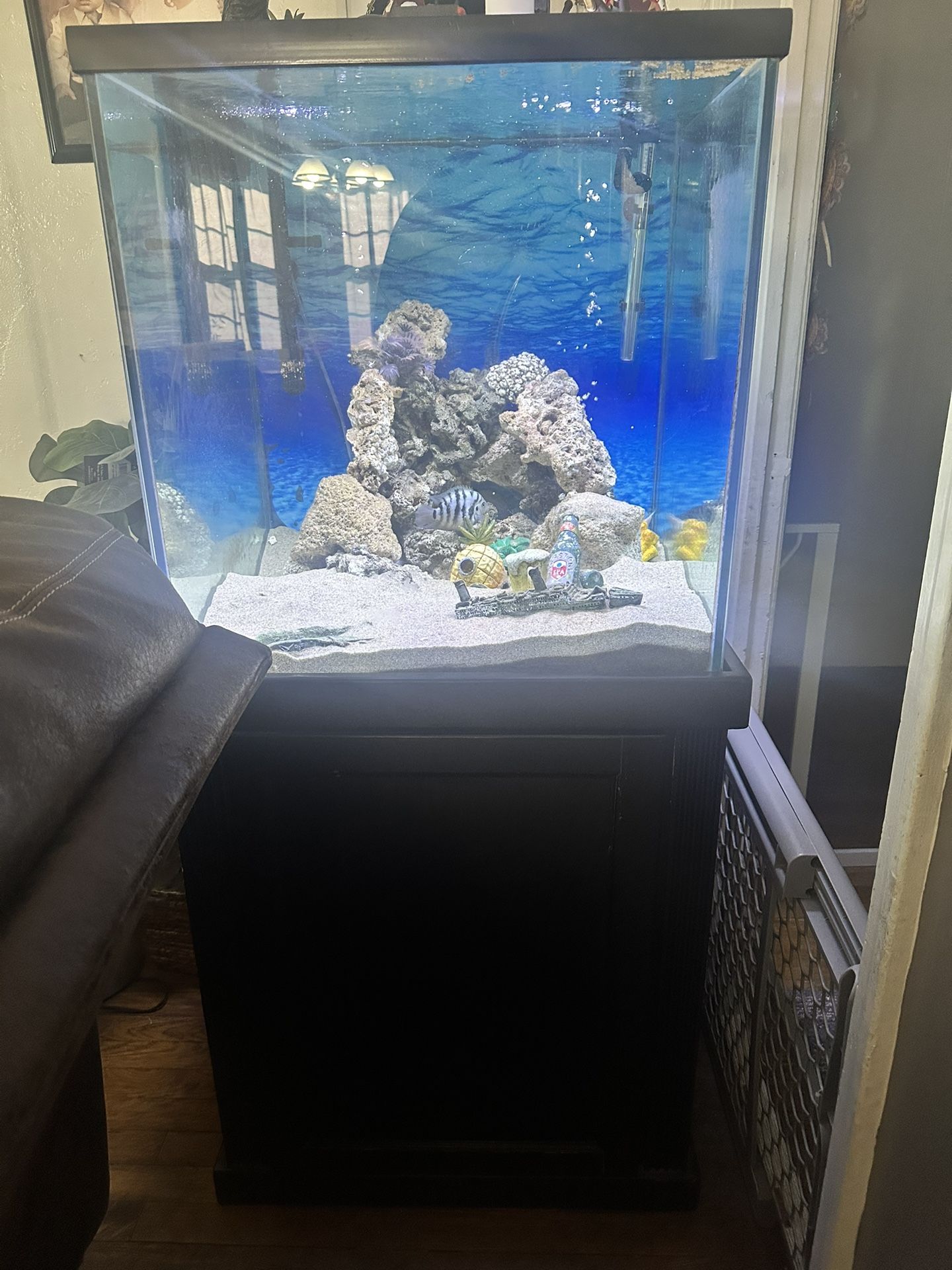60 Gallon Fish Tank