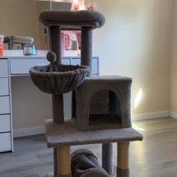 cat House 