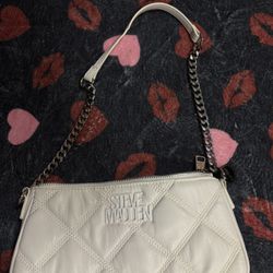 Steve Madden Purse 