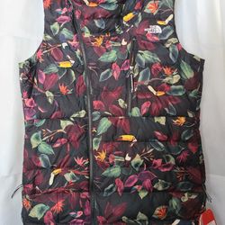 NorthFace 