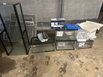 Fish Tanks What Size You Need?
