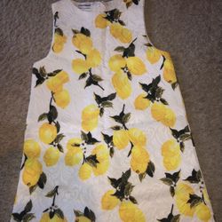 New Girls Dolce&Gabbana Lemons Print Dress. Size 6 T