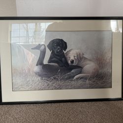 Framed Limited Edition Wildlife Print – Signed & Numbered