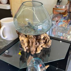 Fish Tank 