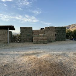 Hay 