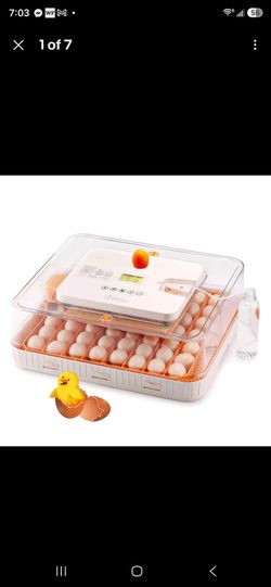 Egg incubator,  new in box