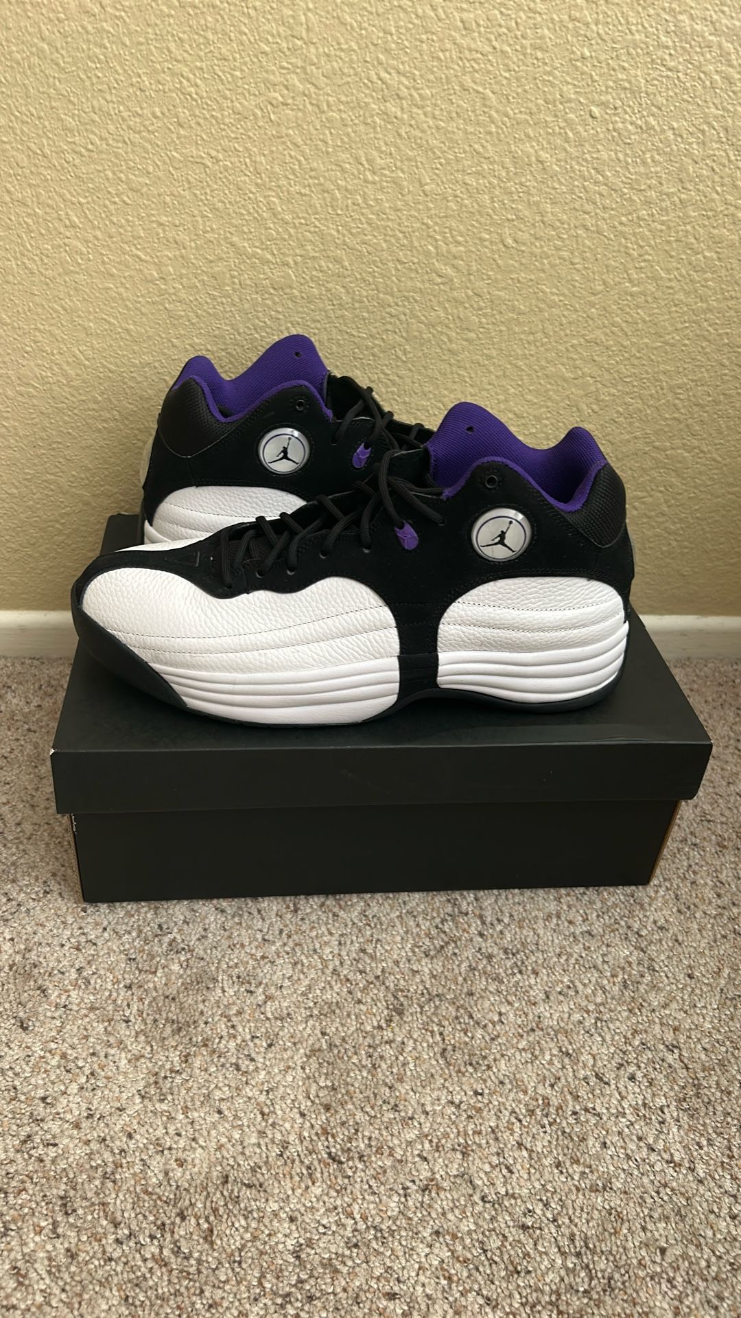 Size 12 Men Jordan Jumpman Team1 (Brand New)
