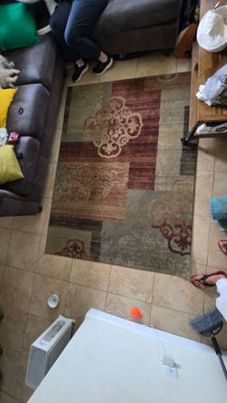 5' x 7' Rug