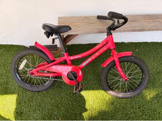 jamis bike (great bike for youth)