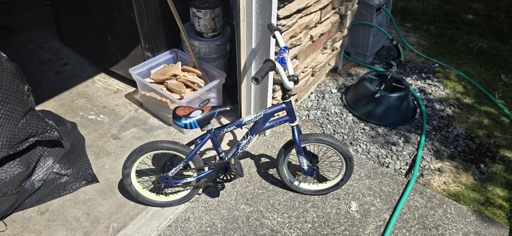 Thruster "Stinger" Boys Size 14 Bicycle