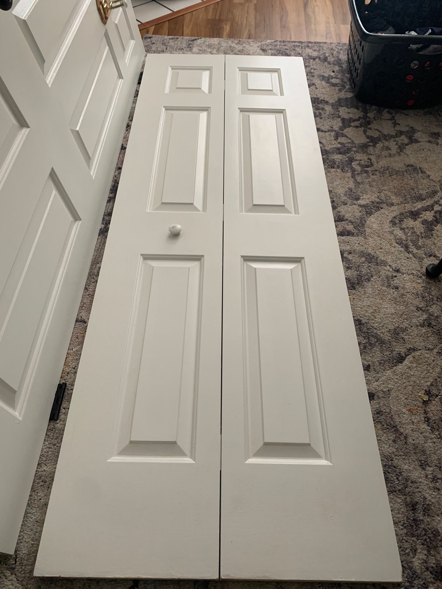 Single Accordion Bifold Door