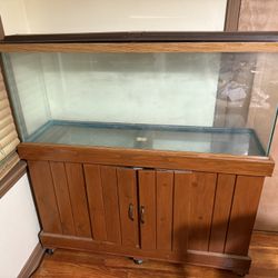 Fish Tank