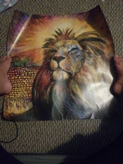 lion painting
