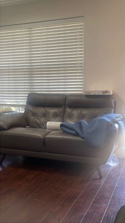 Two couches