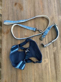 Dog harness