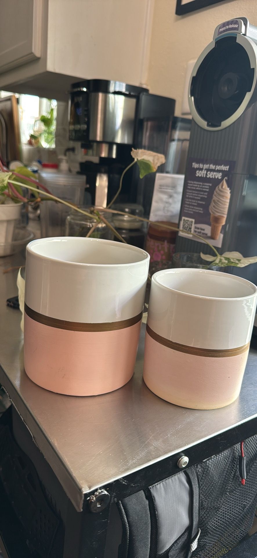 Pink Planters
