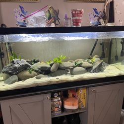 75 gallon fish tank