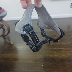 Harness Xs Dog Or Kitten
