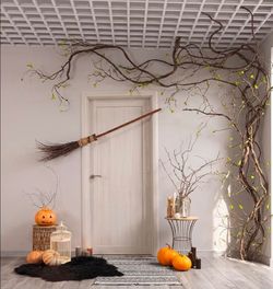 Creepy grapevine branches