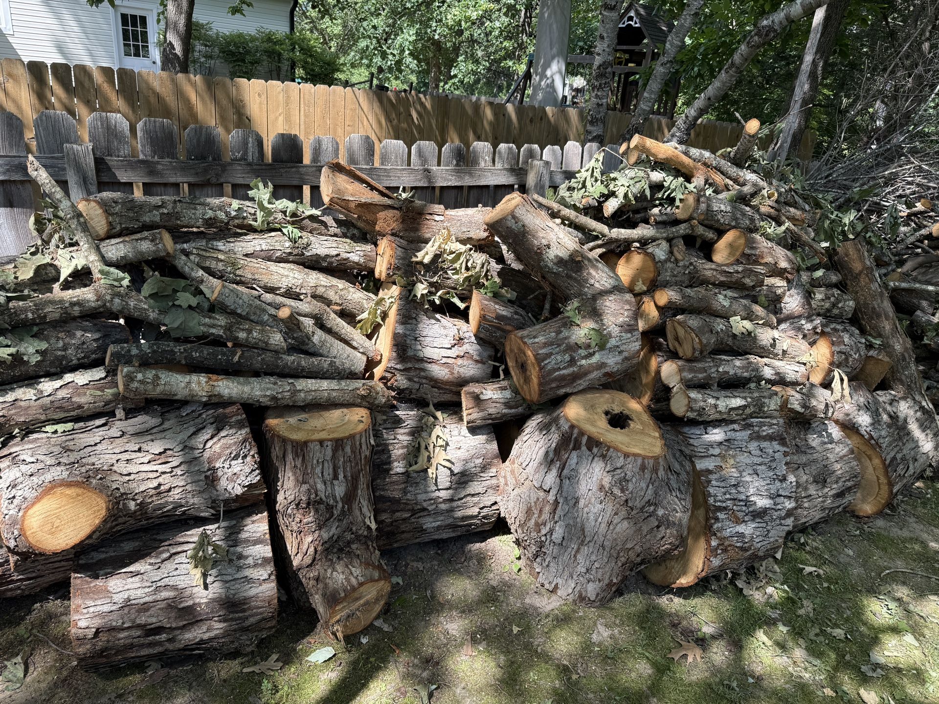 White Oak Firewood Logs
