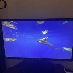19.5 Inch Monitor