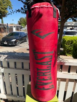 Everlast Red Heavy Punching Bag