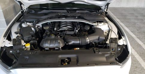 Radiator extension Covers 2015+ Mustang