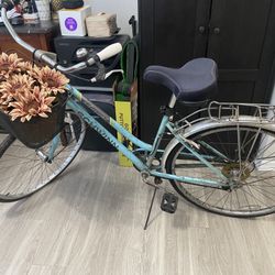 Schwinn Women’s bike