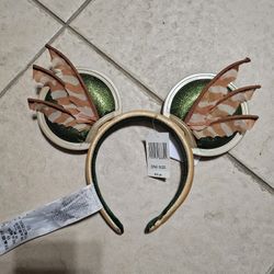 Disney ears 