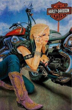 New Framed Harley-Davidson Biker Girl Metal Sign