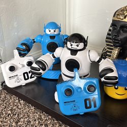 Fight robot toys