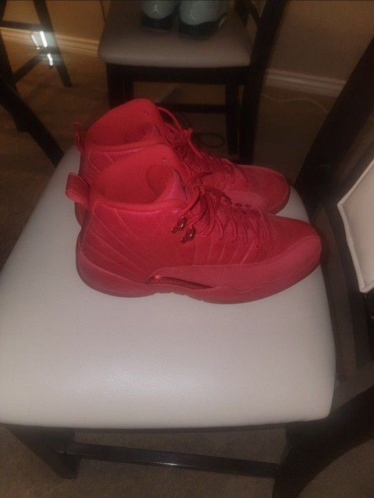 Jordan Gym Red 12s