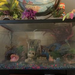 Fish Tank With Accessories 