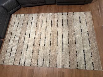Large Beige Shag Area Rug with Black Stripe Pattern