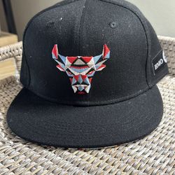 NEW Chicago Bulls Adjustable Hat