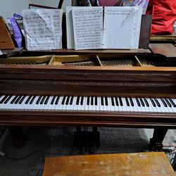 Free - Piano - Baby Grand