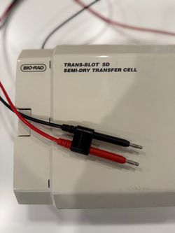 Used Bio-Rad Trans-Blot SD Semi Dry Transfer Cell
